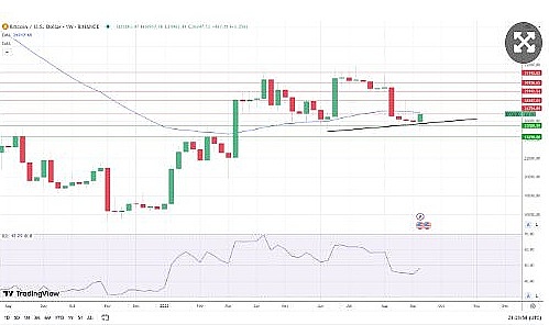 LTC、AVAX、TAO关键点位解析：当前市场该如何布局？